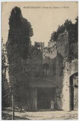 1 vue  - Ruines du château le Tivoli. (ouvre la visionneuse)