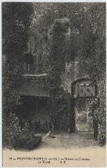 1 vue  - Ruines du château le Tivoli. (ouvre la visionneuse)