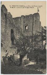 1 vue  - Le donjon (ouest), fin du XIe siècle, construit par Foulques Nerra. (ouvre la visionneuse)