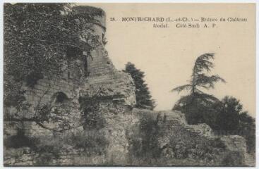 1 vue Ruines du château féodal (côté sud).