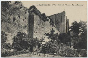 1 vue  - Ruines de l\'Enceinte (époque romaine). (ouvre la visionneuse)