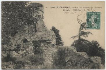 1 vue  - Ruines du château féodal (côté sud). (ouvre la visionneuse)