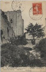 1 vue La tour carrée et les ruines du château.
