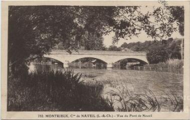 1 vue Montrieux, commune de Naveil. Vue du pont de Naveil.