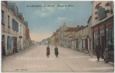 1 vue Route de Blois.