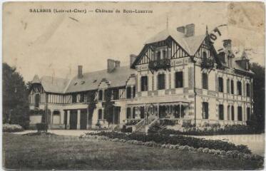 1 vue  - Château de Bois-Lurette. (ouvre la visionneuse)