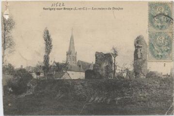 1 vue Ruines du donjon.