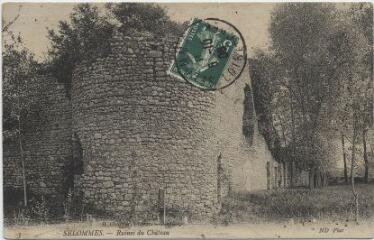 1 vue  - Ruines du château. (ouvre la visionneuse)