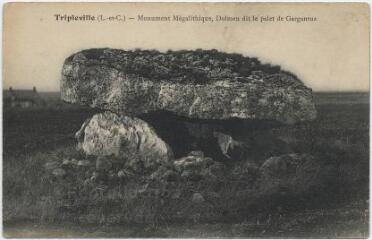 1 vue  - Monument mégalithique, dolmen dit le palet de Gargantua. (ouvre la visionneuse)