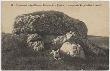 1 vue  - Monument mégalithique, dolmen de la Mouïse. (ouvre la visionneuse)