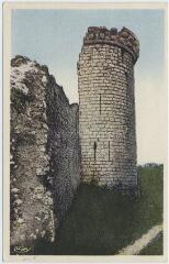 1 vue Tour du château (XIIe siècle).