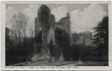 1 vue Ruines du château et tour de Poitiers (XIIe siècle).
