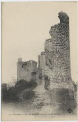 1 vue  - Les ruines du château. (ouvre la visionneuse)