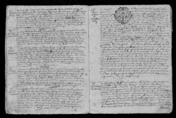11 vues Registre paroissial. Baptêmes, mariages, sépultures (janvier-juillet 1733)