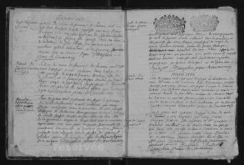 127 vues Registre paroissial. Baptêmes, mariages, sépultures (1717-1735) ; baptêmes, sépultures (janvier 1736)
