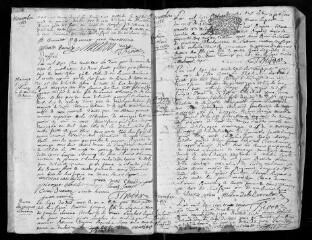 44 vues Registre paroissial. Baptêmes, mariages, sépultures (octobre 1733-décembre 1739)
