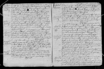 9 vues  - Registre paroissial des baptêmes, mariages, sépultures (1741) (ouvre la visionneuse)