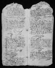 14 vues  - Registre paroissial. Baptêmes (septembre 1615-février 1618) (ouvre la visionneuse)