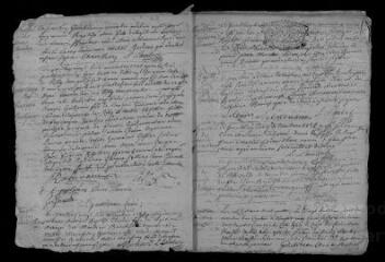 33 vues Registre paroissial. Baptêmes, mariages, sépultures (octobre 1734-décembre 1736) ; baptêmes (janvier 1736)
