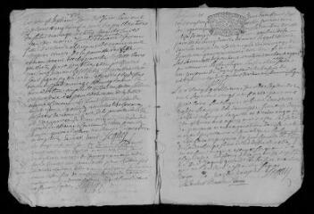 8 vues  - Registre paroissial. Baptêmes, mariages, sépultures (février-décembre 1729) (ouvre la visionneuse)