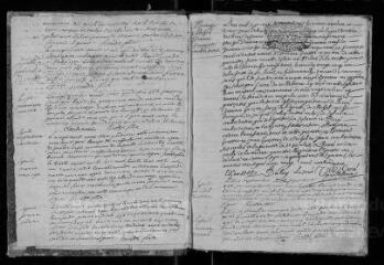 149 vues Registre paroissial. Baptêmes, mariages, sépultures (août 1733-janvier 1743)