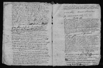 13 vues Registre paroissial. Baptêmes, mariages, sépultures (1737-juillet 1738)