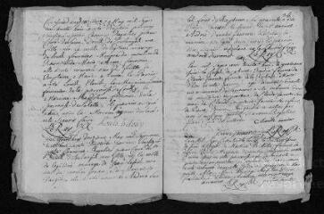10 vues Registre paroissial.Baptêmes, mariages, sépultures (avril-novembre 1738) - Baptêmes, mariages (janvier 1739)