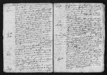 13 vues  - Registre paroissial. Baptêmes, mariages, sépultures (1738) - Sépultures (janvier 1739) (ouvre la visionneuse)