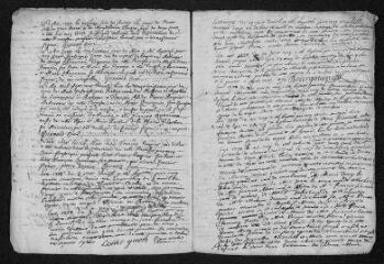 9 vues Registre paroissial. Baptêmes, mariages, sépultures (1738-janvier 1739)
