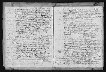 53 vues  - Registre paroissial. Baptêmes, mariages, sépultures (septembre 1737-novembre 1739) (ouvre la visionneuse)