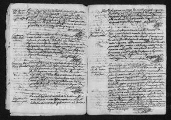13 vues  - Registre paroissial. Baptêmes, mariages, sépultures (1738-février 1739) (ouvre la visionneuse)