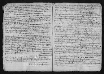 9 vues Registre paroissial. Baptêmes, mariages, sépultures (1738) - baptême (janvier 1739)